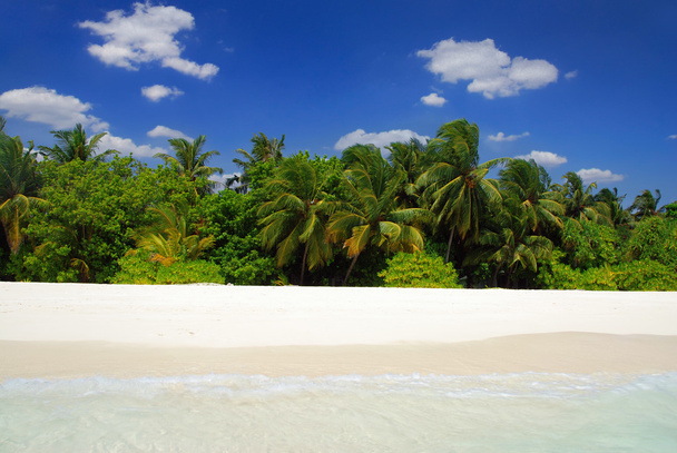 Playa tropical - Foto, imagen
