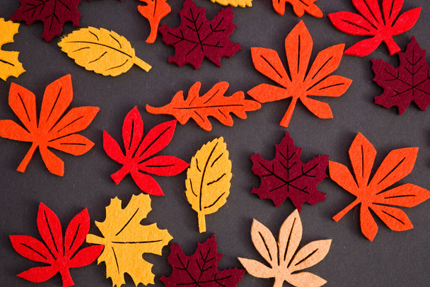 Verschiedene Herbstblätter auf schwarzem Hintergrund. Herbst Farben Konzept Hintergrund - Foto, Bild