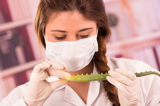 young female biologist experimenting with leaf - Photo, image