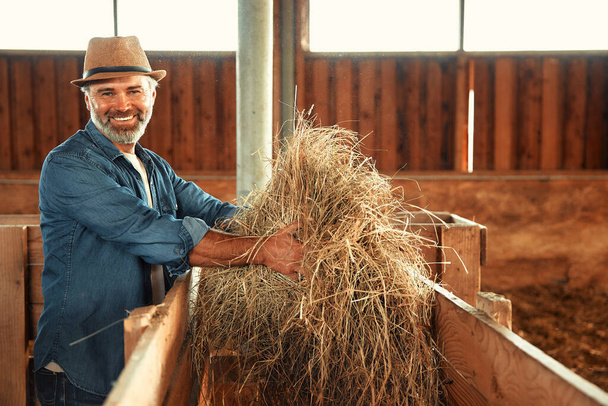 Dospělý pohledný farmář v klobouku, sbírající seno, aby krmil dobytek ve stodole na farmě. Koncept zemědělství a zemědělství. - Fotografie, Obrázek