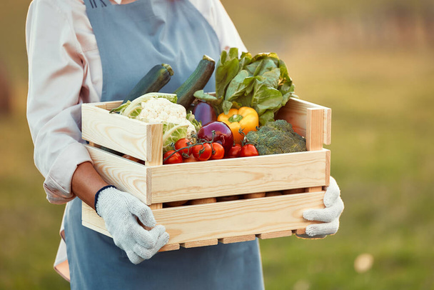 Kypsä kaunis nainen viljelijä tilalla puinen laatikko korjattuja vihanneksia, kun se seisoo taustaa vasten kentän. Maatalous ja maatalous. - Valokuva, kuva