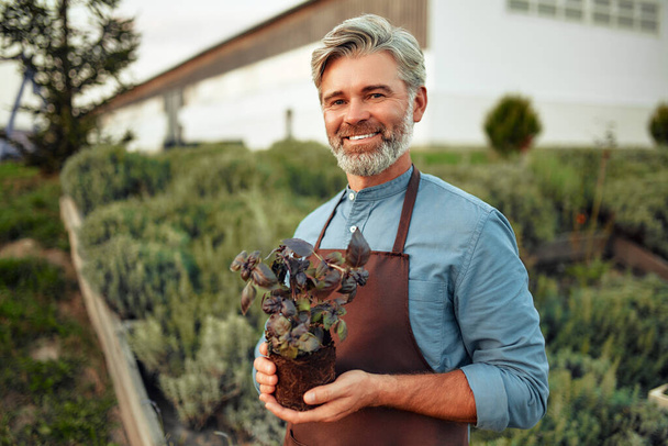 Mature handsome male farmer in an apron holding a basil seedling in his hands. Farming and agriculture concept. - Photo, Image