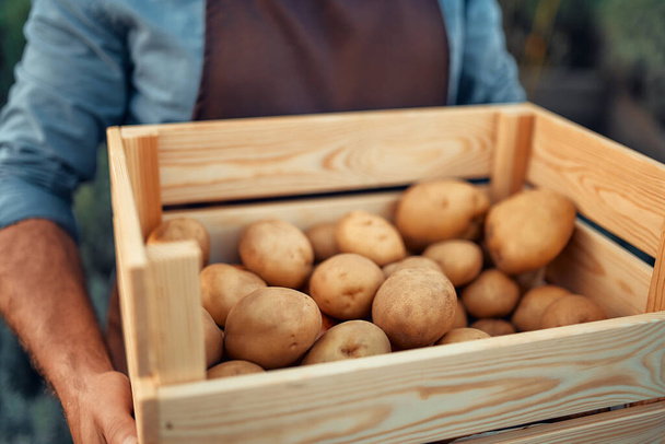 Viljelty kuva viljelijästä, jolla on puinen laatikko, jossa on korjattuja perunoita. Maatalouden ja maatalouden käsite. - Valokuva, kuva