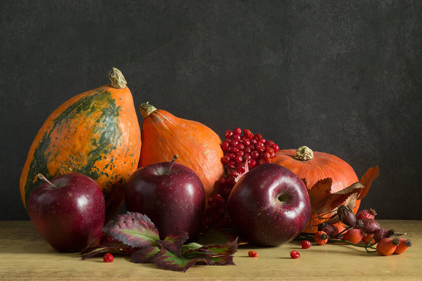 Balkabakları, elmalar ve viburnum ile sonbahar sakin bir hayat - Fotoğraf, Görsel