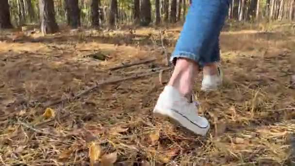Frauenfüße in Turnschuhen gehen einen Waldweg entlang, gehen einen Pfad entlang. Beine in Jeans laufen durch einen Nadelwald. Unter- und Rückansicht. . Hochwertiges 4k Filmmaterial - Filmmaterial, Video