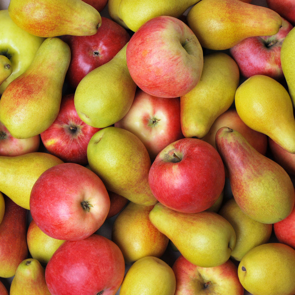 Manzanas y peras
 - Foto, Imagen