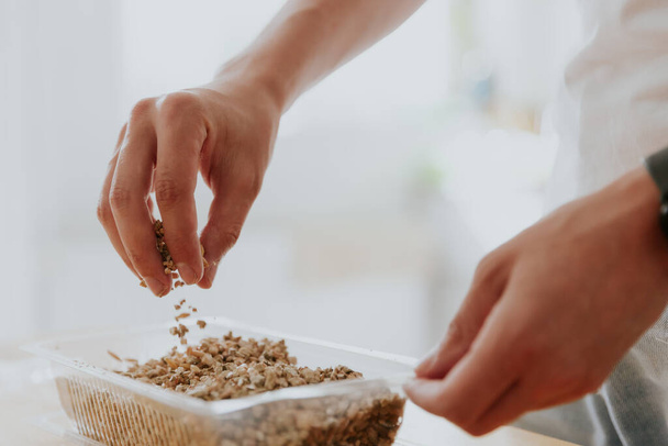Um jovem caucasiano irreconhecível mistura e derrama sementes de trigo com o solo em um recipiente com uma mão, de pé na cozinha em uma mesa de madeira, vista lateral close-up. - Foto, Imagem