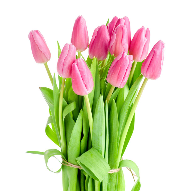 Tulips bouquet isolated - Photo, Image