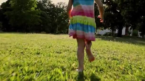 Το κοριτσάκι τρέχει μέσα από το λιβάδι στο πάρκο - Πλάνα, βίντεο