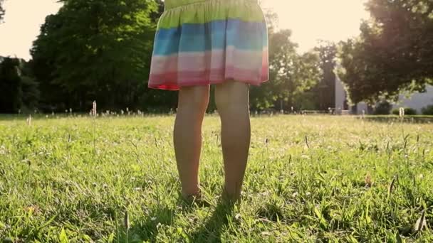 Mała dziewczynka biegnie przez łąkę w parku - Materiał filmowy, wideo