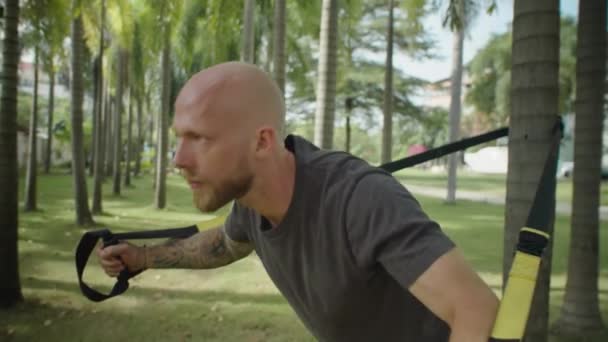 Tiefflug-Aufnahme eines starken Mannes, der während eines Outdoor-Trainings auf an einer Palme im Park befestigten Aufhängebändern Brustschläge macht - Filmmaterial, Video