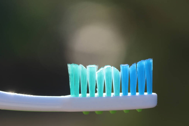 ダークバックの歯ブラシ. ナイロンブリストルとプラスチックハンドル - 写真・画像