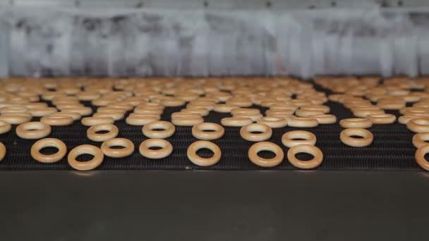Bagels conveyor - Footage, Video