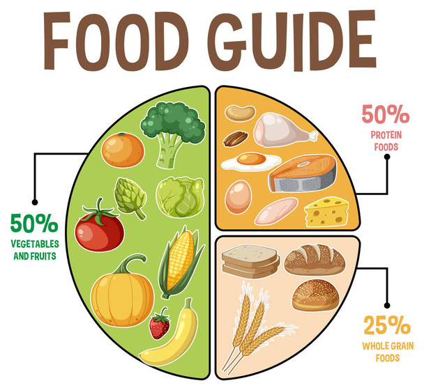 バランスの取れた食事のための異なるマクロ栄養素に分けられた円のイラスト - ベクター画像
