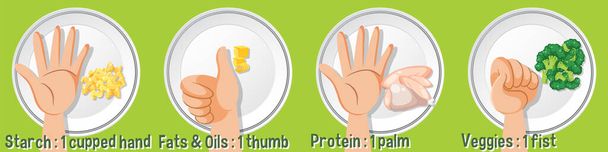 Portion Control: Comparing Food Nutrition with Human Hand illustration - Vector, Image