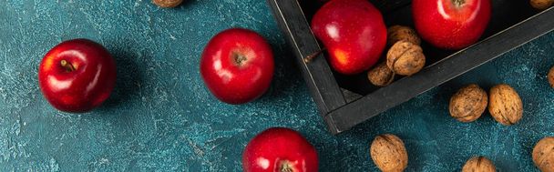 черный деревянный поднос и красные яблоки с грецкими орехами на голубой текстурированной поверхности, урожай благодарения, баннер - Фото, изображение