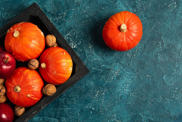черный поднос с апельсиновыми тыквами и красными яблоками с грецкими орехами на голубой текстурированной поверхности, День благодарения - Фото, изображение