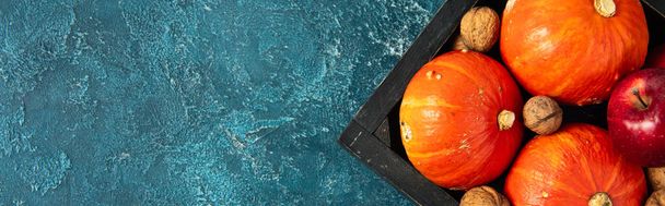 oranžové dýně a vlašské ořechy v černém zásobníku na modrém texturovaném povrchu, pozadí díkůvzdání, prapor - Fotografie, Obrázek