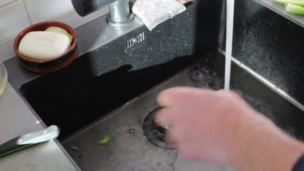Un uomo pulisce gambi di sedano in un lavello da cucina sotto l'acqua corrente.  - Filmati, video