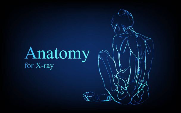 Anatomía humana delante en la vista de rayos X. Anatomía conexión del cuerpo humano, banner médico, educativo o científico sobre fondo azul futurista, ilustración dibujada a mano vectorial - Vector, Imagen