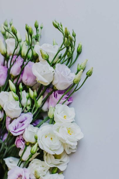 Belo Eustoma branco e roxo (Lisianthus) flores em um fundo pastel. Lugar para texto. - Foto, Imagem