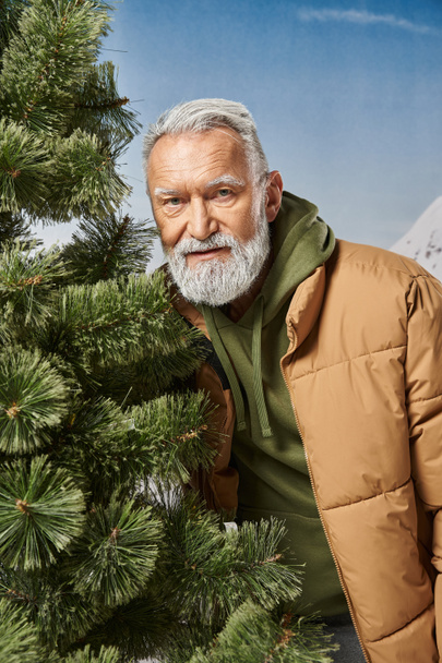 sporty Santa with white beard standing near pine tree and looking at camera, winter concept - Photo, Image