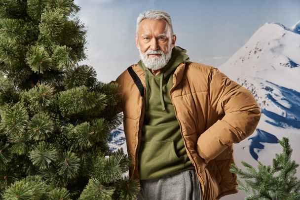 athletic Santa standing next to pine tree and looking at camera with hand on hip, winter concept - Φωτογραφία, εικόνα
