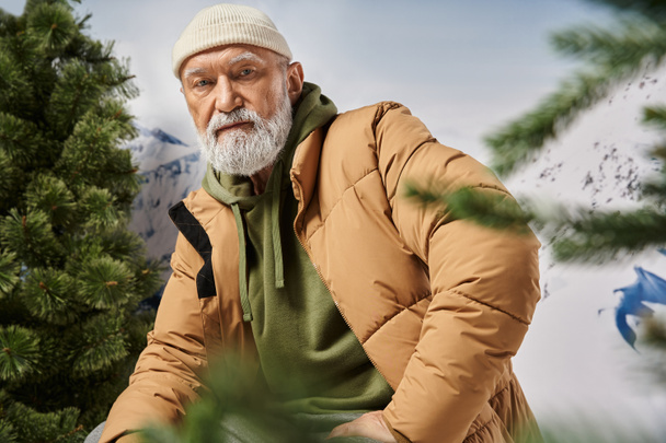 portrait of Santa with white beard wearing warm jacket and hat looking at camera, winter concept - Photo, Image