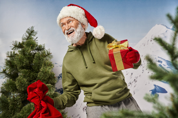 cheerful man dressed as Santa in red hat with present and gift bag with mountain backdrop, winter - Photo, Image