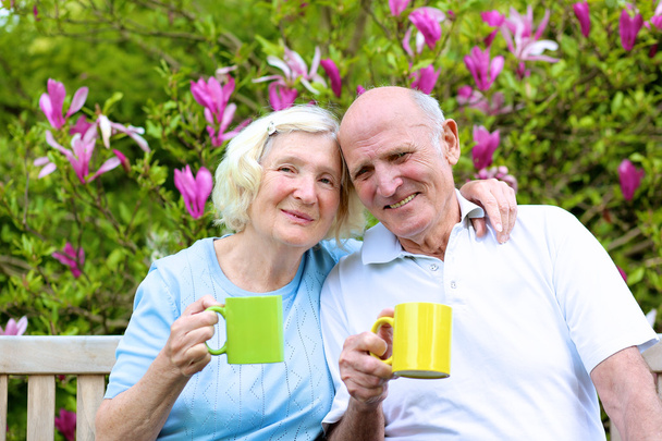 Senior couple drinking tea in the garden - Фото, изображение