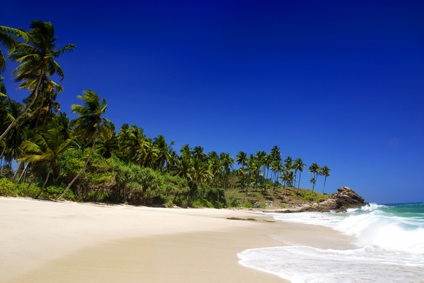 Tropical paradise - Photo, Image