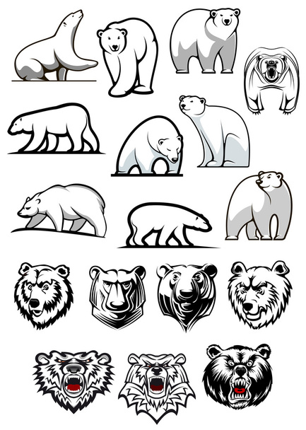 Personagens de desenhos animados urso polar branco
 - Vetor, Imagem