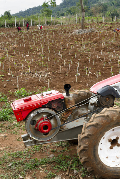 Typické charakteristické zemědělské stroje v Laosu, používané zemědělci v celé jihovýchodní Asii. Užitečná víceúčelová alternativa benzinu k dobytku, používaná k orbě, výsevu a venkovské dopravě. - Fotografie, Obrázek