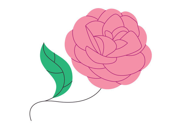 Camelia camélia fleur rose dessin illustration vecteur - Vecteur, image