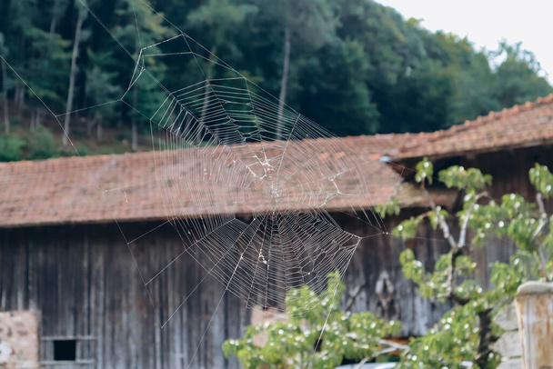Cobweb egy farmon, Dél-Tirol, Észak-Olaszország - Fotó, kép