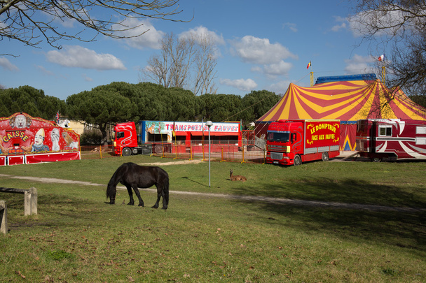 Circus - Photo, Image