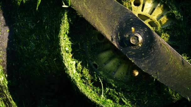 Bladen van elektrische grasmaaier panning 4k close-up schot selectieve focus - Video