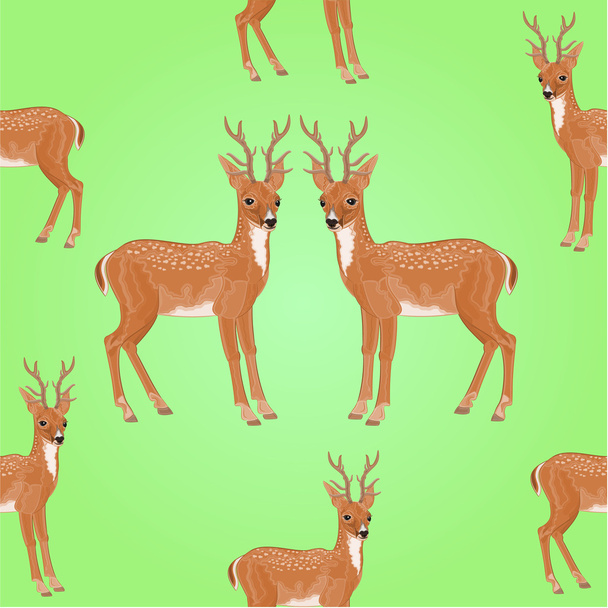 Бесшовная текстура вектор молодого оленя
 - Вектор,изображение