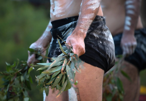 Australian alkuperäiskansojen seremonia, miehen käsi vihreät oksat, aloittaa tanssia rituaali riitti yhteisön tapahtuma Adelaide, Etelä-Australia - Valokuva, kuva