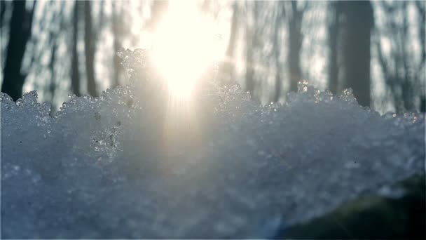 De stralen van zonsopgang smelten van de sneeuw. - Video