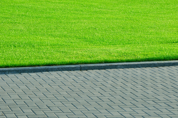 Green grass and pedestrian walkway. - Photo, Image