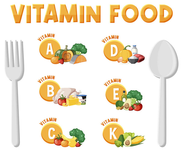 Illustration of various food types categorized by vitamin content - Vector, Image