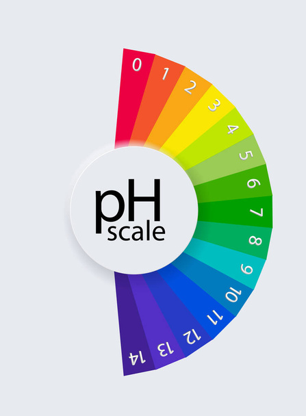 Gráfico de escala de pH para soluciones ácidas y alcalinas. Infografía de equilibrio ácido-base. Ilustración vectorial - Vector, imagen