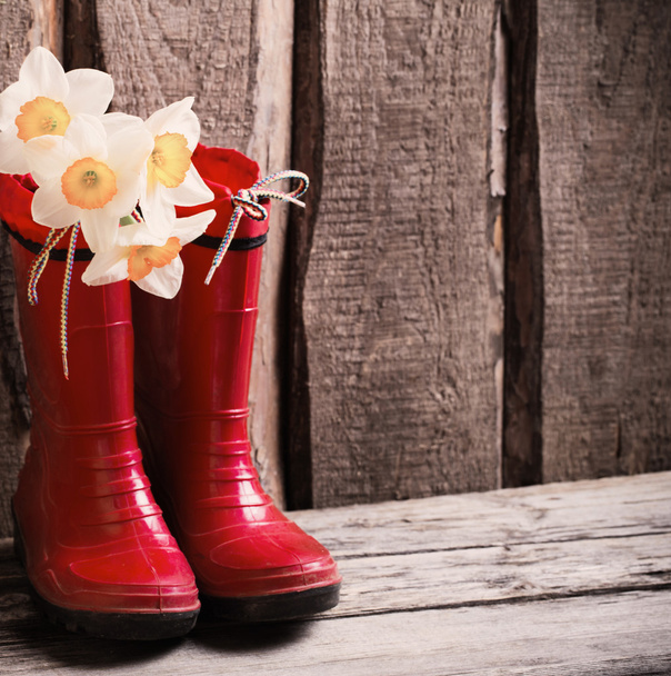 red child garden shoes with spring flowers - Fotoğraf, Görsel