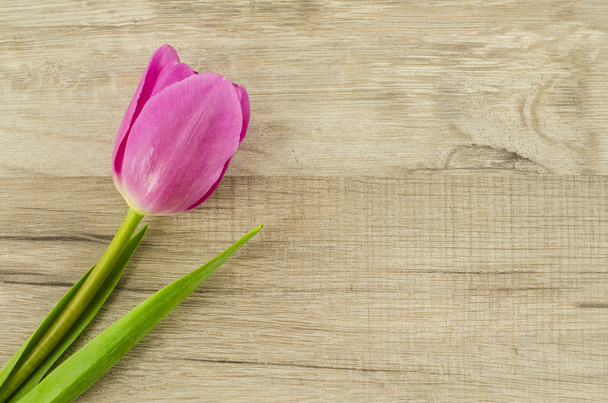 Pink tulip flower on wooden background - Photo, Image
