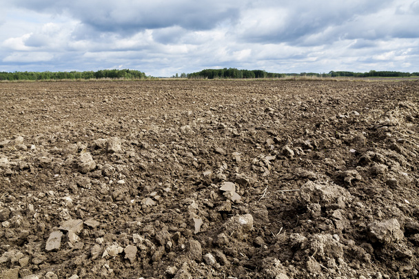 Agricultural landscape, plowed field. - Фото, изображение