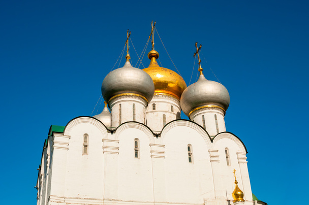 Novodevichy convent in Moscow. Cathedral church of the Smolensk  - 写真・画像