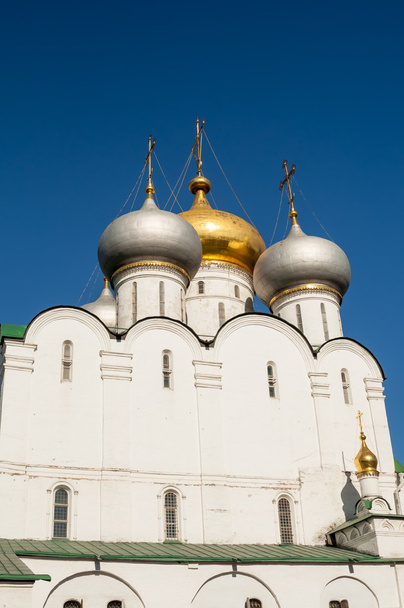 Novodevichy convent in Moscow - Valokuva, kuva