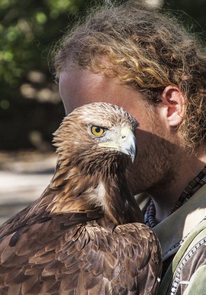 Brown Tawny Eagle portret met Falconer - Foto, afbeelding
