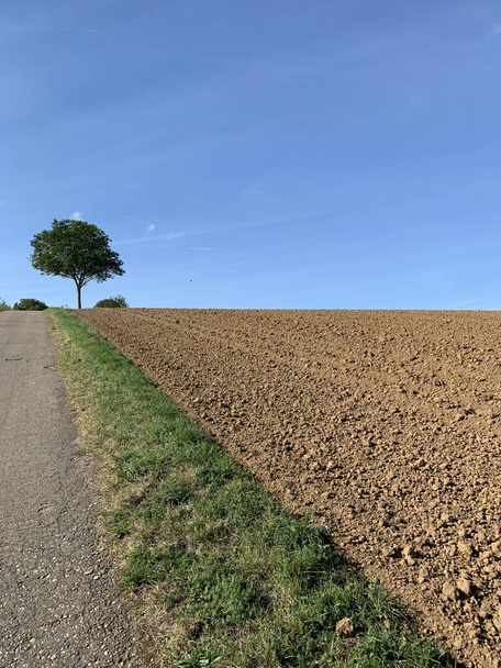 Un champ labouré le long d'une bande d'herbe et une route asphaltée sur fond de ciel bleu par temps ensoleillé en Allemagne. Au loin à l'horizon, il y a un arbre solitaire. Photo verticale. - Photo, image